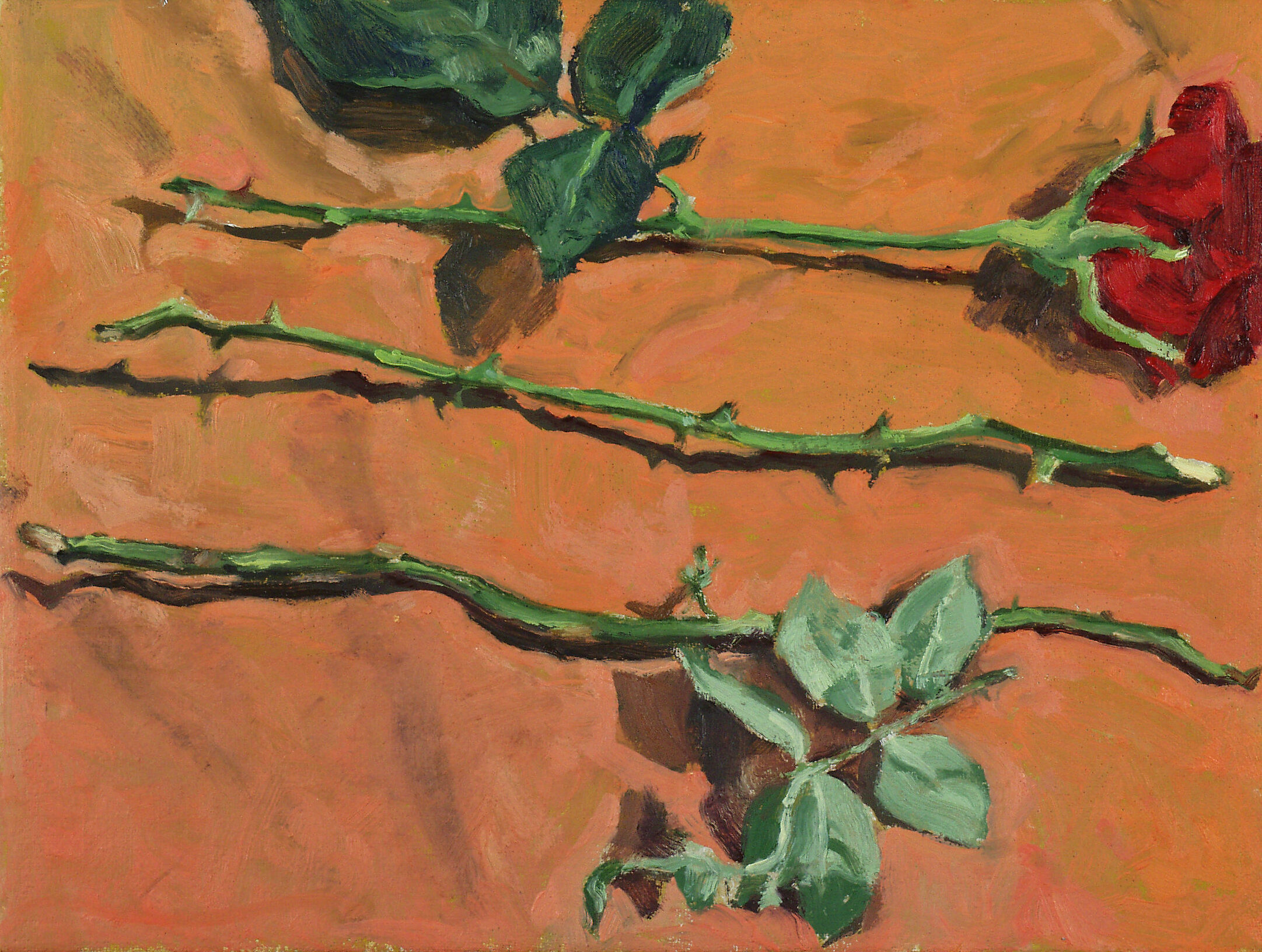 eine rose ist eine rose30x402004
